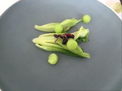 -慈云斋·24节气素食