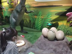-呼和浩特市老牛儿童探索馆