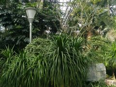 -南山植物园