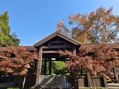-白马涧龙池景区