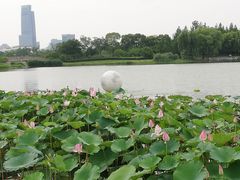 -澹台湖公园