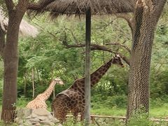 -北京野生动物园