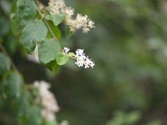 -仙岳公园