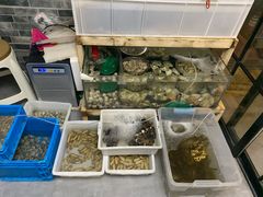 水产区-阿杰臻选海鲜饭店(普陀山店)