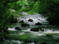 -广州市石门国家森林公园