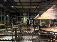 -绿色星球动物主题公园