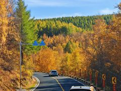 -塞罕坝国家级自然保护区