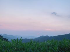 -广州市石门国家森林公园