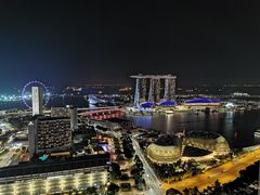 -新加坡瑞士史丹福酒店