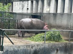 -成都动物园