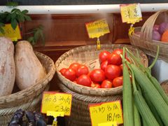 -老灶房-四川土菜(开元店)