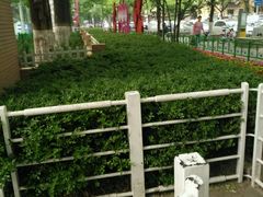 -双榆树公园