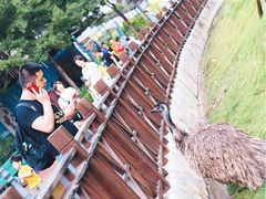 -灵玲国际马戏城