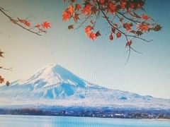 -学习谷日语培训日本留学·多语种外语教学(海淀人大分部)