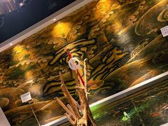 -大渔之观(安贞店)