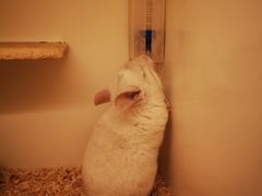 -龙猫仔乐园(惠福东路店)