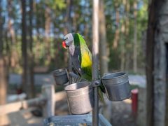 -昆山城市生态森林公园