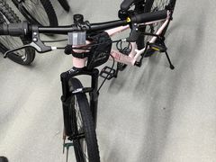 -道路口单车爱瓦士dahon大行