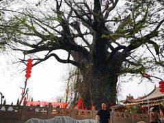 -大槐树寻根祭祖园