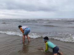 -日照海滨国家森林公园