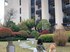 -上海崇明金茂凯悦酒店