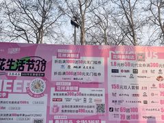 -金茂览秀城