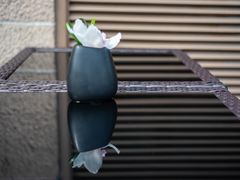 -上海和平饭店华懋阁 Cathay Room