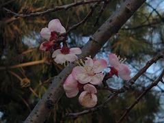 -玲珑塔公园
