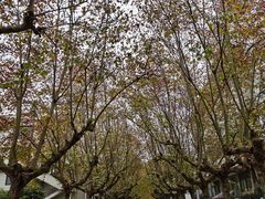 -四川农业大学(雅安校区)