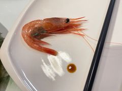 -黑松白鹿(崇文门新活馆店)