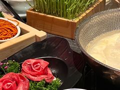 -捞王猪肚鸡火锅(金华义乌之心店)