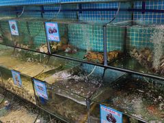 -范饭椰林川湘味海鲜·椰子鸡(三亚湾椰梦长廊店)