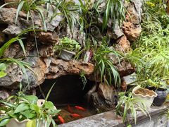 -蔼若春.传承三十年云南菜(金碧公园店)