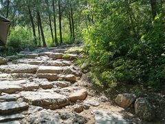 -阳台山自然风景区