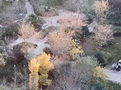 -上海锦江汤臣洲际大酒店