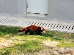 -南京金牛湖风景区