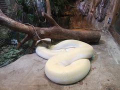 -上海大自然野生昆虫馆(东方明珠·爬宠昆虫探索中心)