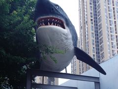 -海合安成都极地海洋公园