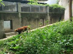 -西安秦岭野生动物园