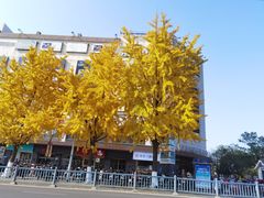 -苏州金科大酒店
