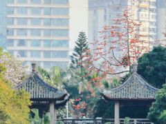 -东山湖公园