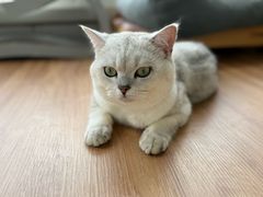 -PETKIT 小佩宠物·低压洗护·美容·寄养(安远店)