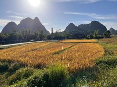 -靖西鹅泉风景区