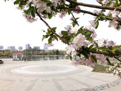 -山东理工大学
