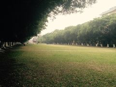 -中山大学学者灵芝(园南路店)