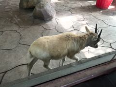 -宁波野生动物园