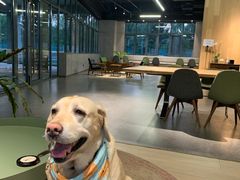 -山下C5cafe(惠通时代广场店)