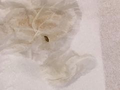 -俏湘厨•地道湘菜(建华南路店)