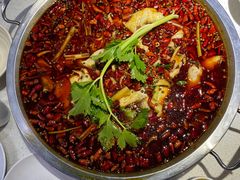 -蛙蛙鸡冷锅鱼(驷马桥店)