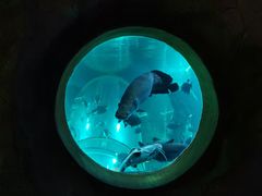 -泉城欧乐堡海洋极地世界